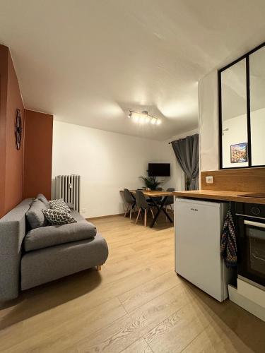 Appartement au centre ville, Strasbourg (photo 8)
