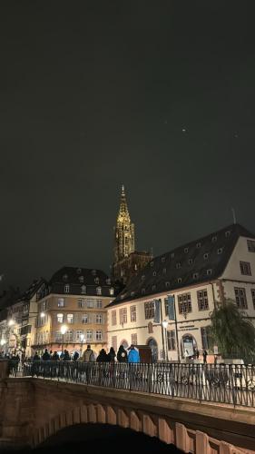 Appartement au centre ville, Strasbourg (photo 10)