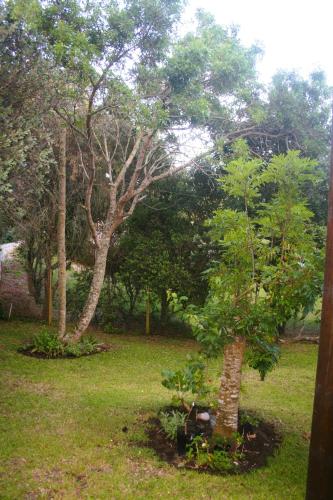 Peace Haven Trappie huis Peace Haven Trappie huis