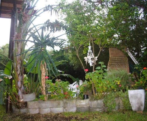 Peace Haven Trappie huis Peace Haven Trappie huis