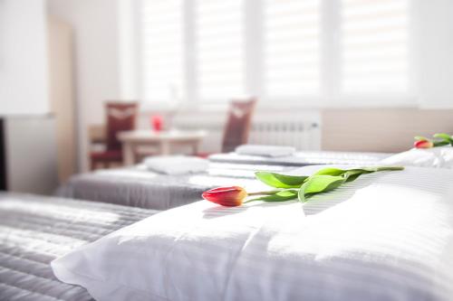Noclegi Sebastian w Centrum - Accommodation - Ustrzyki Dolne