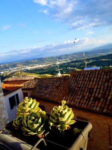 Sun Moon, Monteprandone (foto 5)