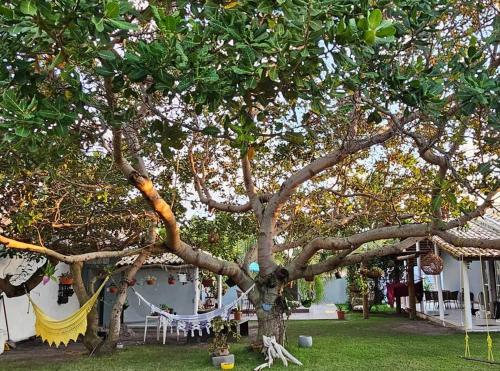 Kert, Paraíso dos Coqueiros - Casa Bem-te-vi (Paraiso dos Coqueiros - Casa Bem-te-vi) in Mangue Seco