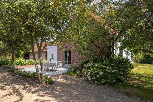 Dārzs, 't Jongehof in Wachtebeke