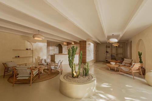 ロビー, Serab Residencia, Boutique Hotel & Resort in ジュニエ