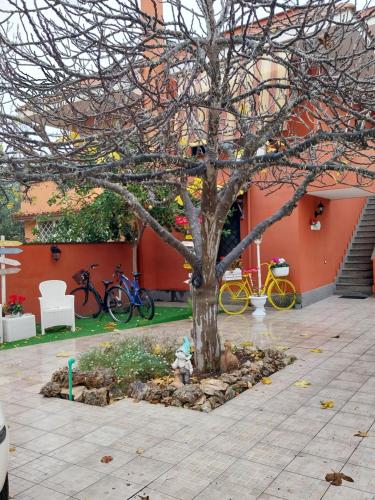 Il Viandante - image 6