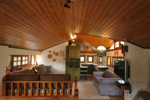 Arctic Loft by Ski Alure, Arájova (foto 5)