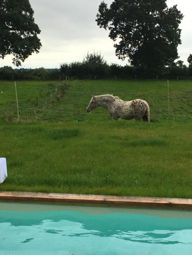 Hoheluft am Wittensee Apt 3 in 格羅斯維滕塞