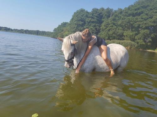 Hoheluft am Wittensee Apt 3 in 格羅斯維滕塞