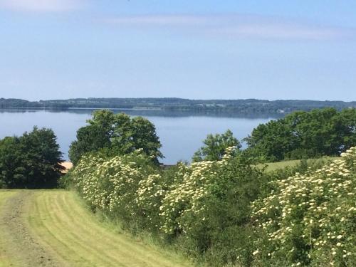 Hoheluft am Wittensee Apt 3 in 格羅斯維滕塞