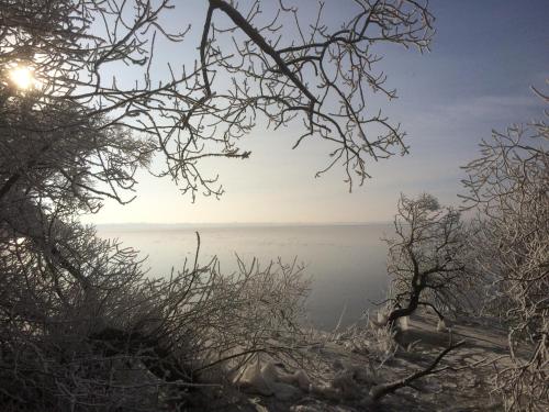 Hoheluft am Wittensee Apt 3 in 格羅斯維滕塞