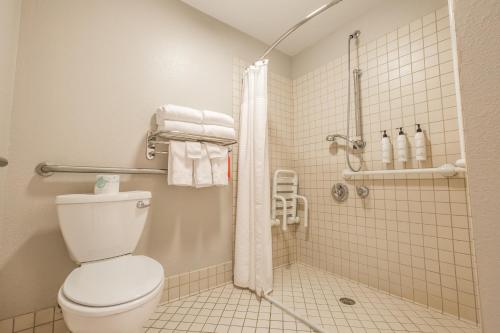 Queen Studio with Sofa Bed - Mobility Accessible with Roll-in Shower