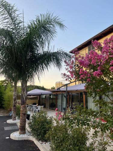 Villa Delle Rose chambre d'hôte Naples Racecourse