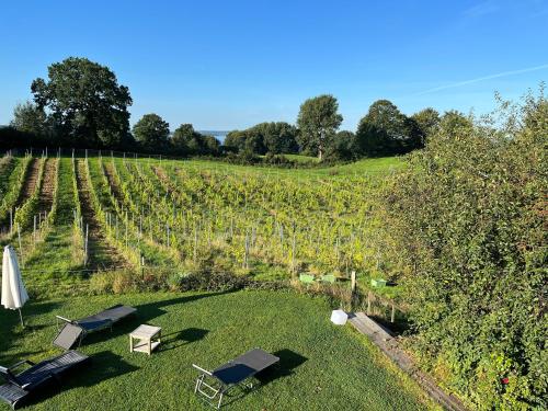 Hoheluft am Wittensee Apt 1 in 格羅斯維滕塞