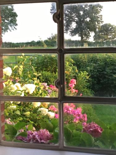 Hoheluft am Wittensee Apt 1 in 格羅斯維滕塞