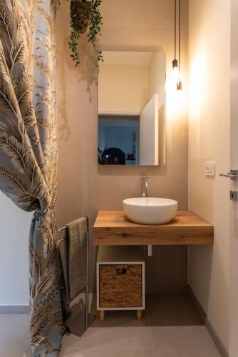 Torino centro - suite con cucina, Turin (Foto 10)