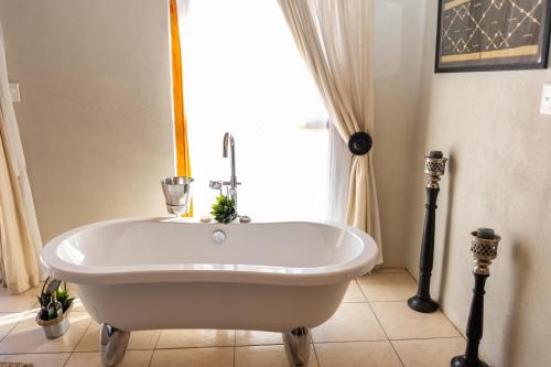 Grootvlakte Farm in Somerset East