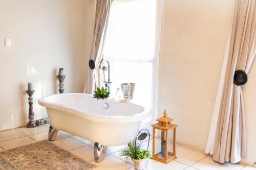 Grootvlakte Farm in Somerset East