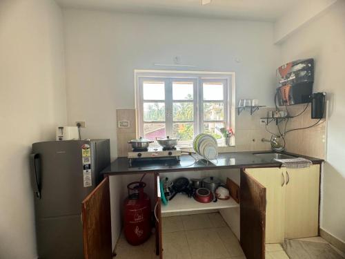 One-Bedroom Apartment image 6