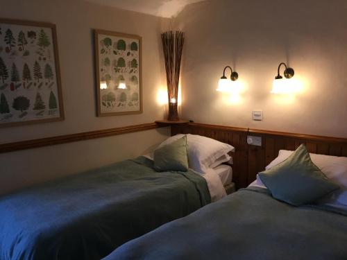 1 king bed