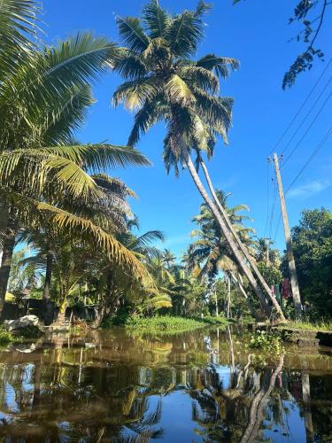 Birdwatching and kaya king - Alappuzha Birdwatching and kaya king - Alappuzha