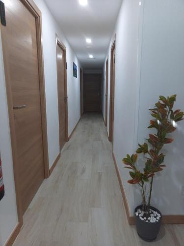 Hostal el Olivo
