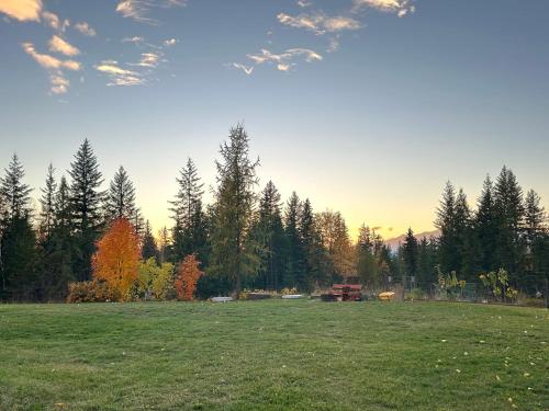 Cozy cabin in เคลียร์วอเตอร์ (BC)