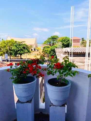 Jardín, Bhashiz Villa in Negombo