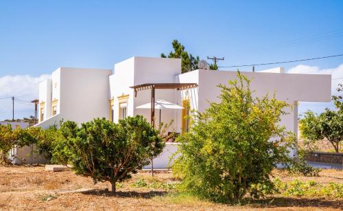 Dream Villas 2
