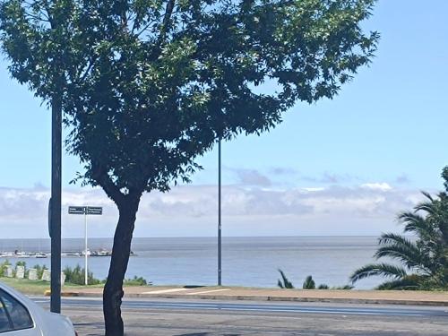 Altos del Plata 506 Apartamento para 4 personas