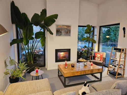 Facilities, Black Walnut House with indoor outdoor fireplace in Homorâciu