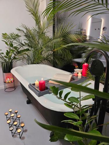 Bathroom, Black Walnut House with indoor outdoor fireplace in Homorâciu