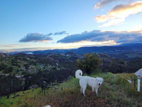 Splitrock - The Portal