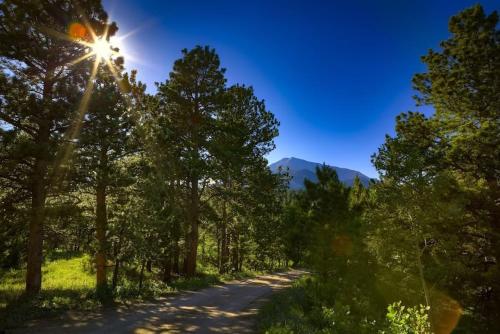 H7 at Hope Mountain -- 6-Bedroom Retreat Home at Allenspark Colorado home in Allenspark, USA