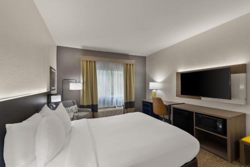 Comfort Inn & Suites - image 7