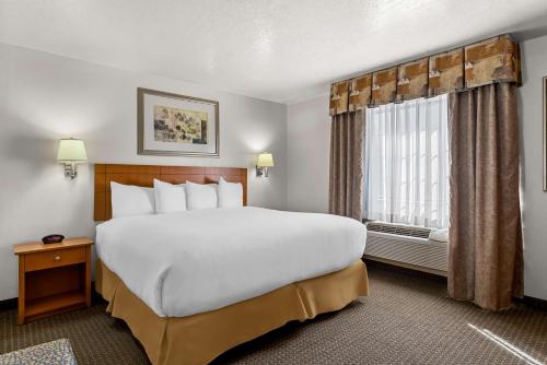 Best Western Socorro Hotel & Suites - image 5