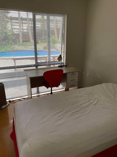 St Heliers homestay, Auckland (photo 6)