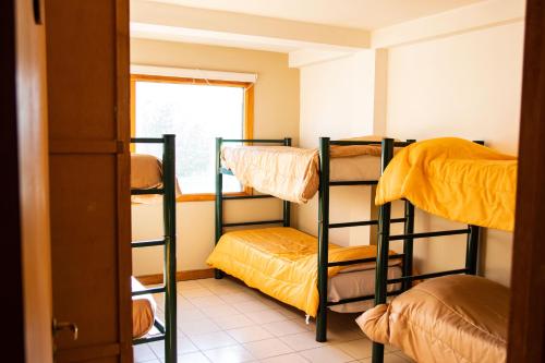 1 twin bed