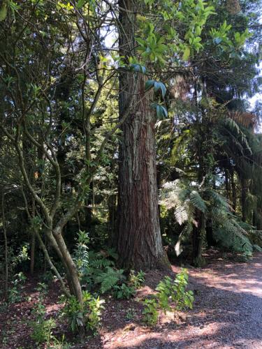 Poihipi Farm Stay in Marotiri