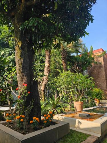 Casa limon Malinalco in Malinalco, Mexico