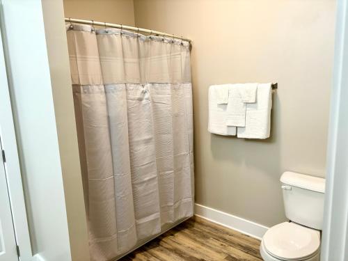 Cute&Comfy Apartment in the Heart of Greensboro in Greensboro, USA