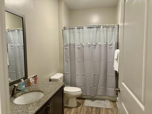 Cute&Comfy Apartment in the Heart of Greensboro in Greensboro, USA