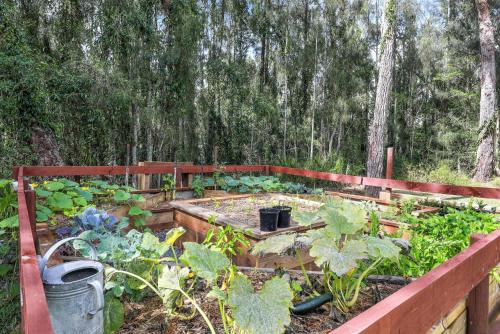 Pet-Friendly, Waterfront - Jervis Bay in St Georges Basin