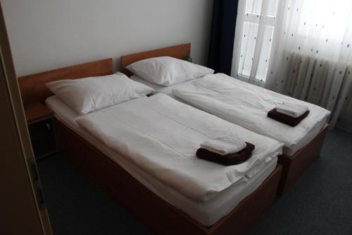 Hotel Centrum Brno - image 2