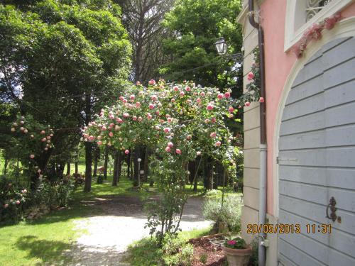 Villa Arianna B&B - image 4