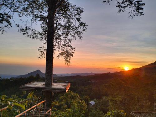 Wanagiri Campsite in Bedugul