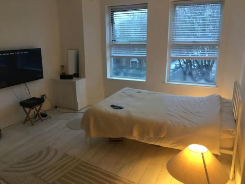 Top floor 1 bedroom, Princes Avenue