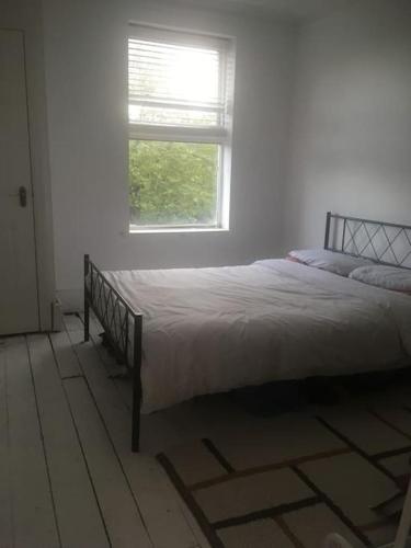Top floor 1 bedroom, Princes Avenue, Liverpool (photo 6)