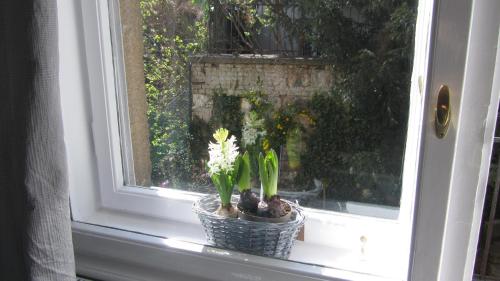 Judy and Sandor Apartmen - image 3