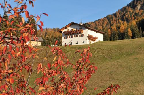 Fiziderhof - image 14
